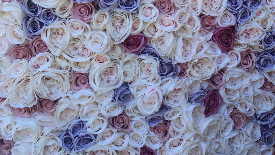 La Vie De La Rose Infinity Rosen Rosenboxen